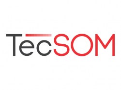 tecsom-rs