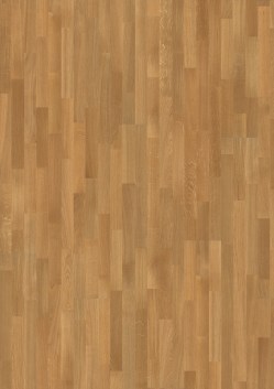 259
