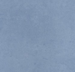 365